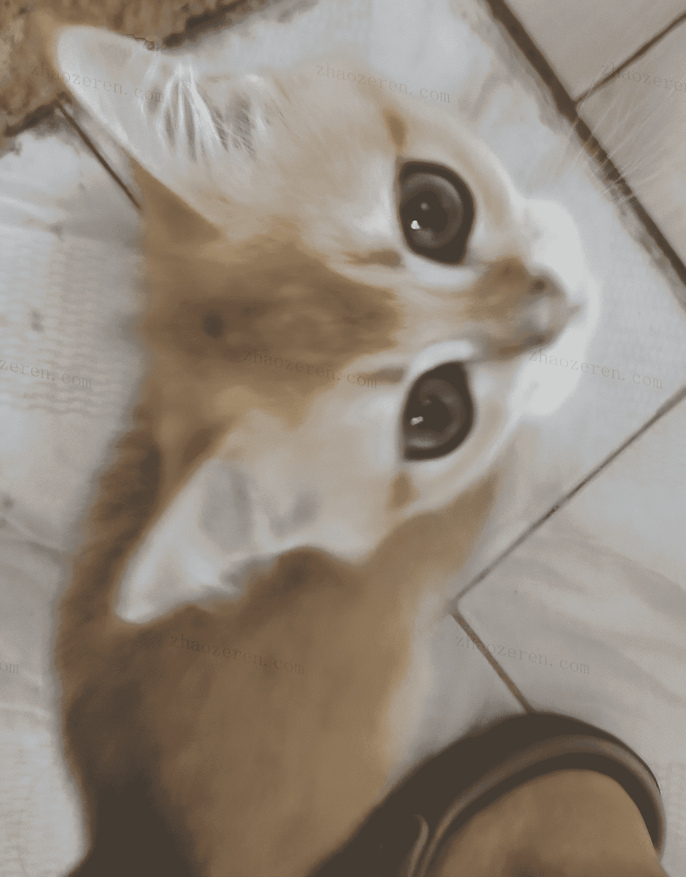 已压缩17769221937