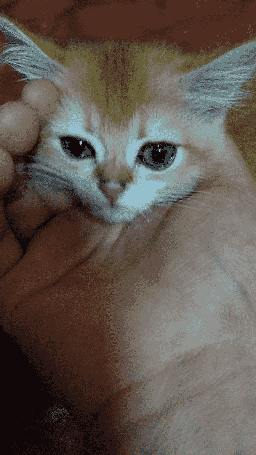 已压缩85fe653794